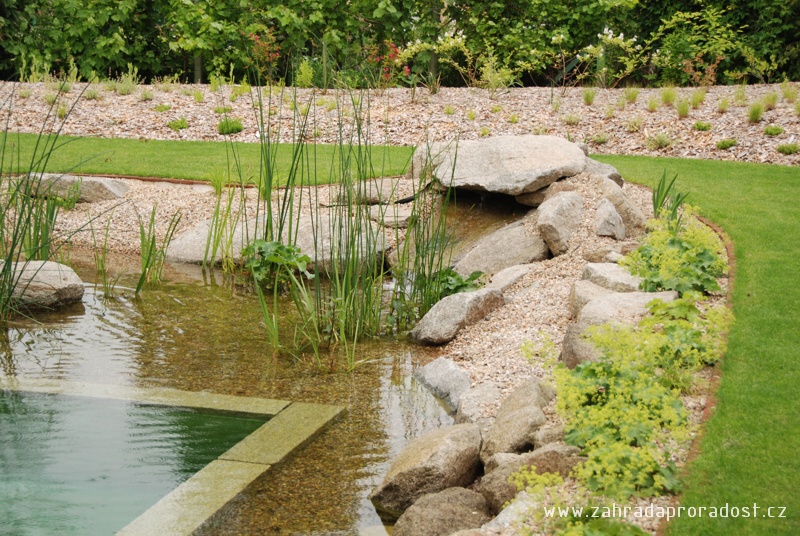 Vizualizace a návrh zeleně