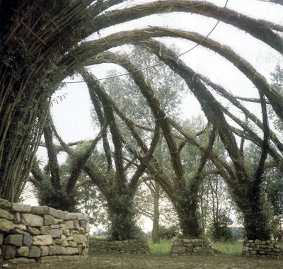 Přírodní zahrada - pohled