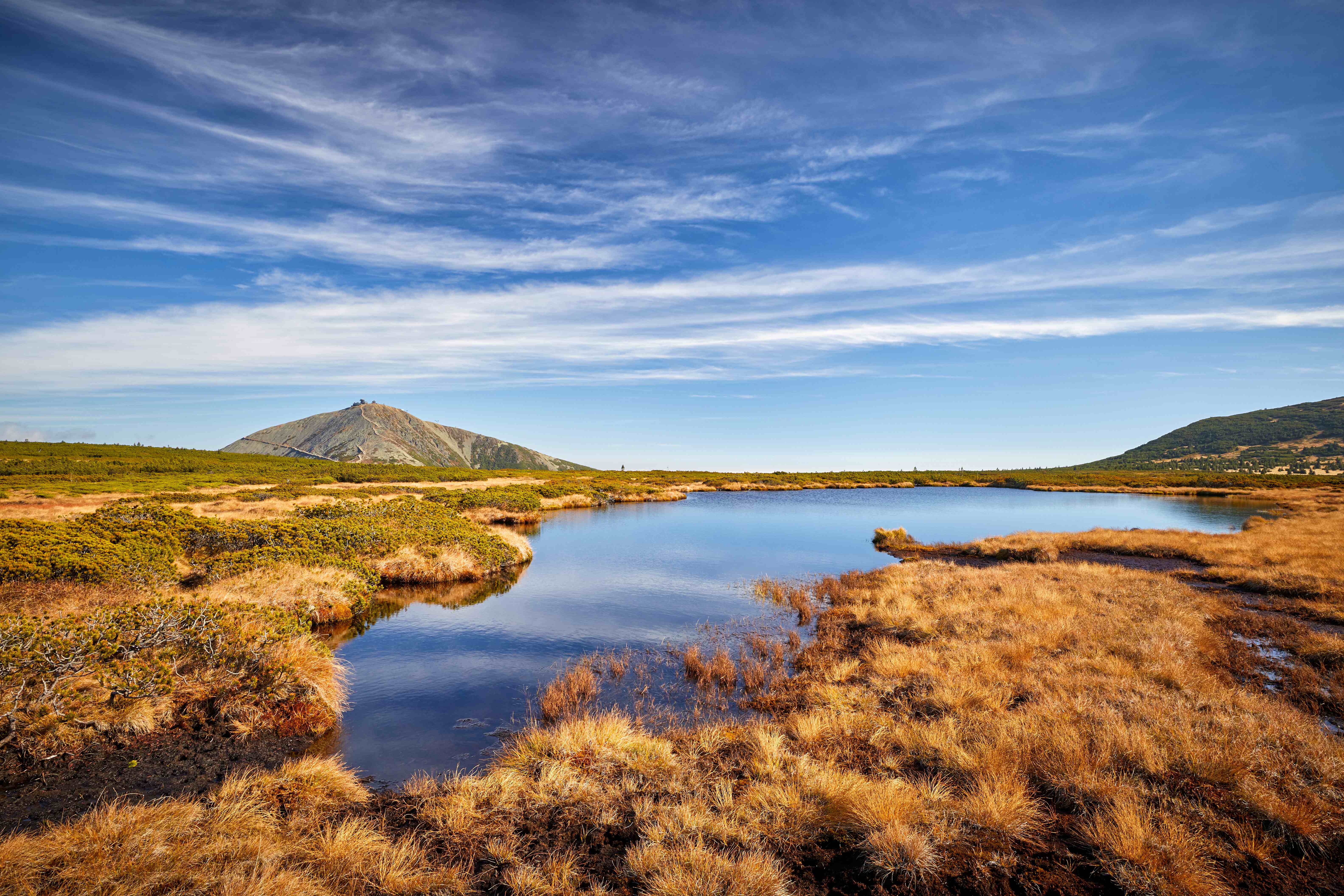 Rašeliniště pod Sněžkou