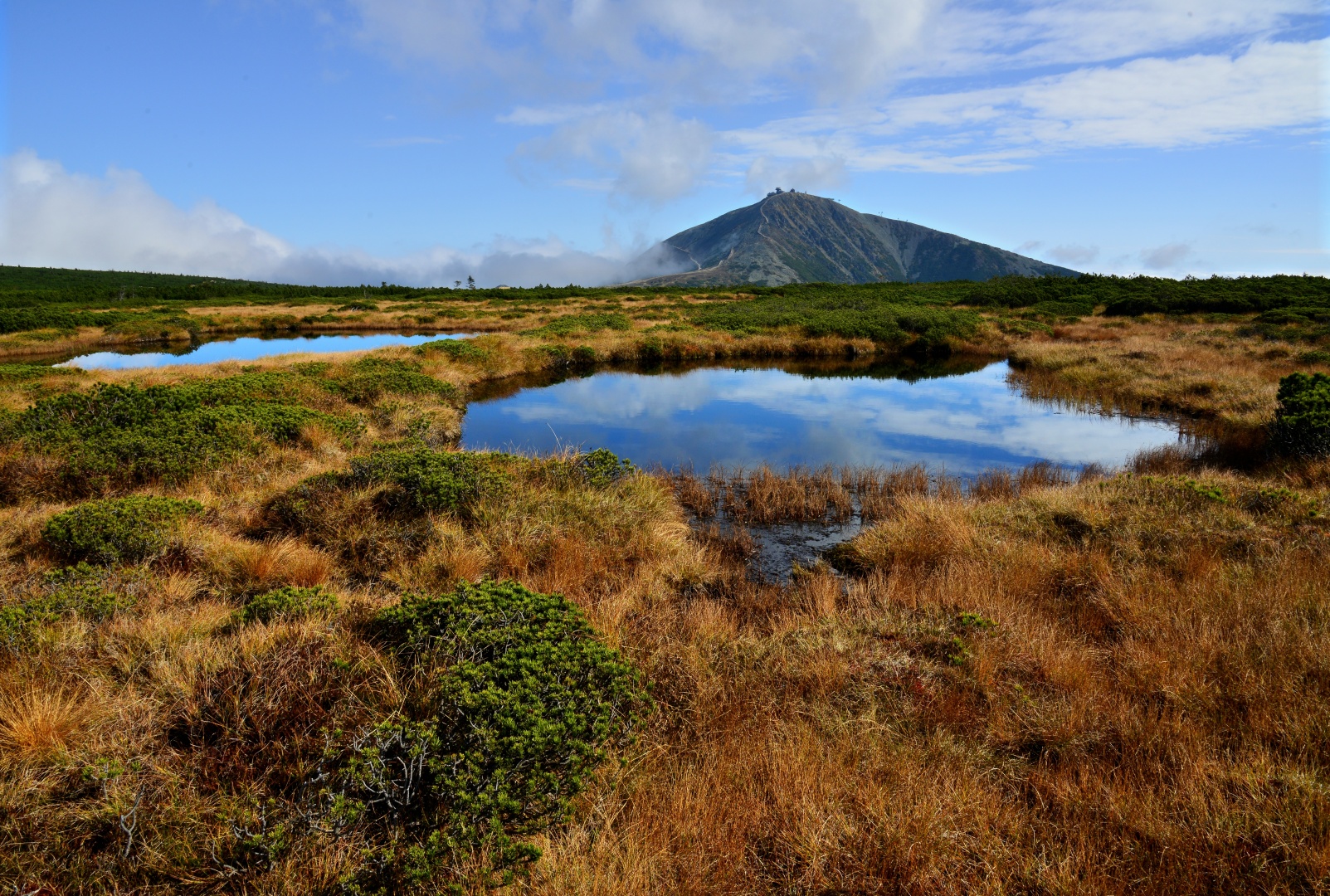 Rašeliniště pod Sněžkou