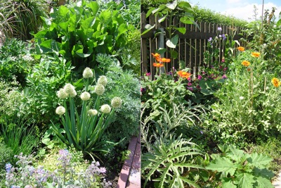 Smíšená kultura - záhon