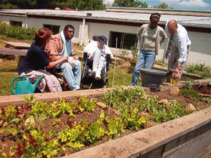 Zahradní terapie - léčivá zahrada